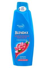 Blendax Kına Özlü Şampuan 500 ML