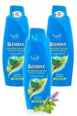 Blendax Bitki Özlü Şampuan 500  ml x 3 Adet