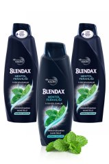 Blendax Erkek Mentol Ferahlığı Şampuan 500  ml x 3 Adet