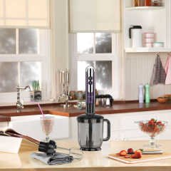 Korkmaz Mia Mega Lavanta/Krom Blender Set A447-08