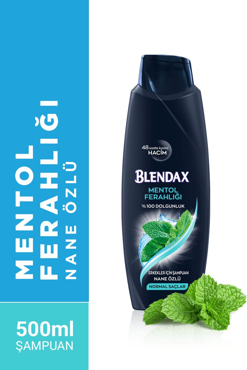 Blendax Erkek Mentol Ferahlığı Şampuan 500 ML
